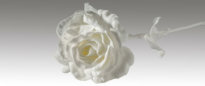 Keller Modellbau 3D Druck Lasersintern SLS Sinterteile 1000x419px.jpg